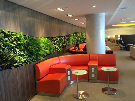ВИП-зал в аэропорту Сидня SkyTeam loung
